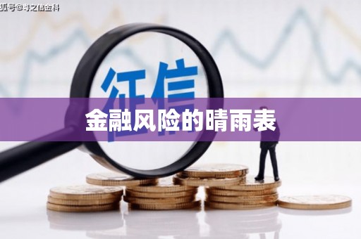 江永金融风险的晴雨表