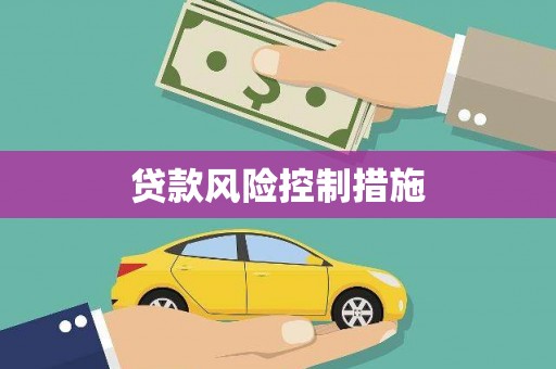 江永贷款风险控制措施