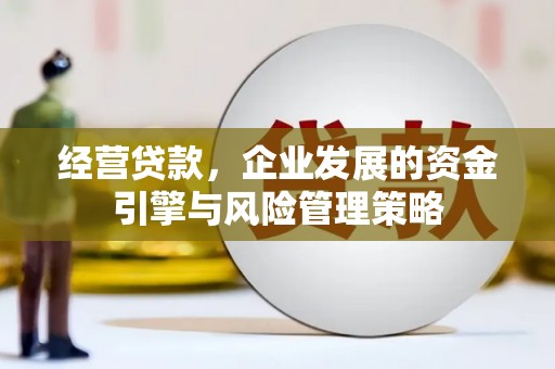 江永经营贷款，企业发展的资金引擎与风险管理策略
