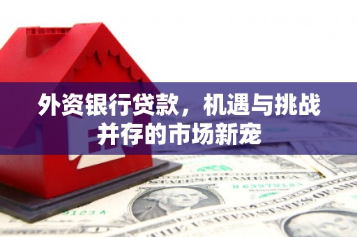 江永外资银行贷款，机遇与挑战并存的市场新宠
