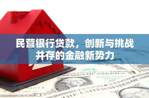 江永民营银行贷款，创新与挑战并存的金融新势力