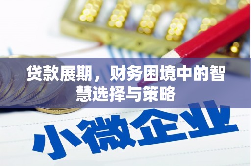 江永贷款展期，财务困境中的智慧选择与策略