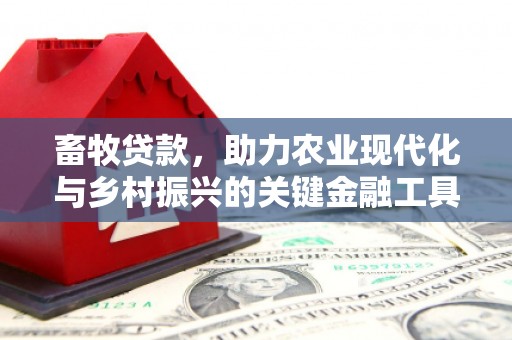 江永畜牧贷款，助力农业现代化与乡村振兴的关键金融工具