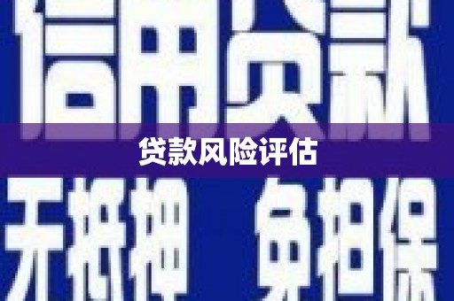 江永贷款风险评估