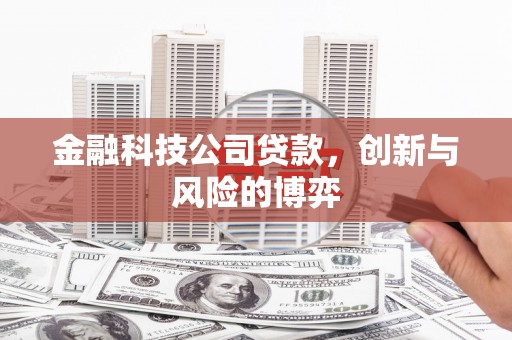 江永金融科技公司贷款，创新与风险的博弈