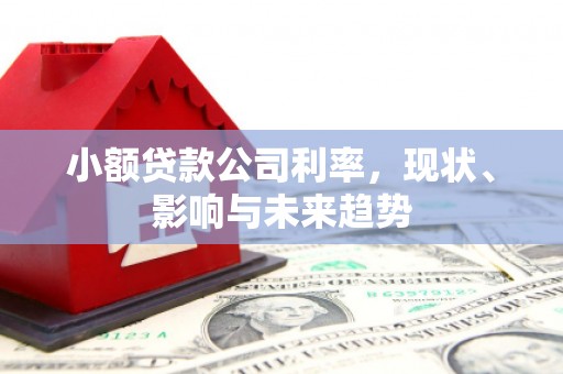 江永小额贷款公司利率，现状、影响与未来趋势