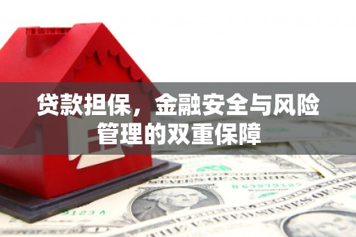 江永贷款担保，金融安全与风险管理的双重保障