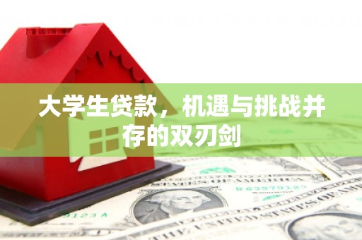 江永大学生贷款，机遇与挑战并存的双刃剑