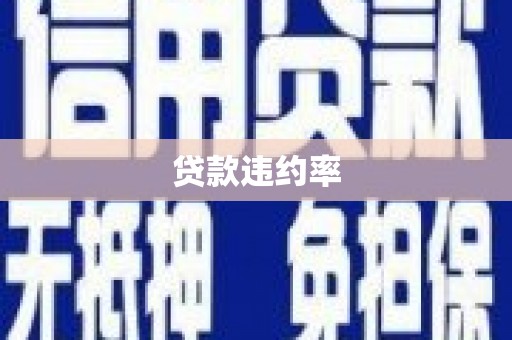 江永贷款违约率