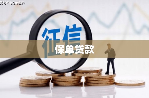 江永保单贷款