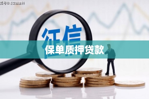 江永保单质押贷款