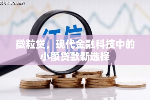 江永微粒贷，现代金融科技中的小额贷款新选择