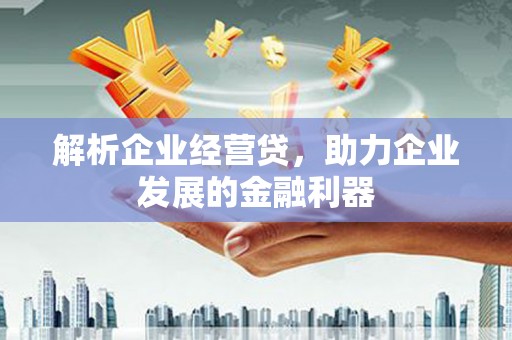 江永解析企业经营贷，助力企业发展的金融利器
