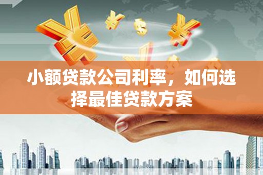 江永小额贷款公司利率，如何选择最佳贷款方案