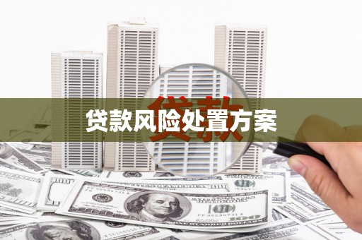 江永贷款风险处置方案