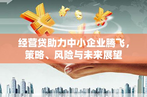 江永经营贷助力中小企业腾飞，策略、风险与未来展望