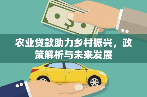 江永农业贷款助力乡村振兴，政策解析与未来发展