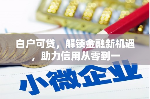 江永白户可贷，解锁金融新机遇，助力信用从零到一