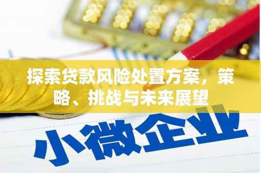 江永探索贷款风险处置方案，策略、挑战与未来展望