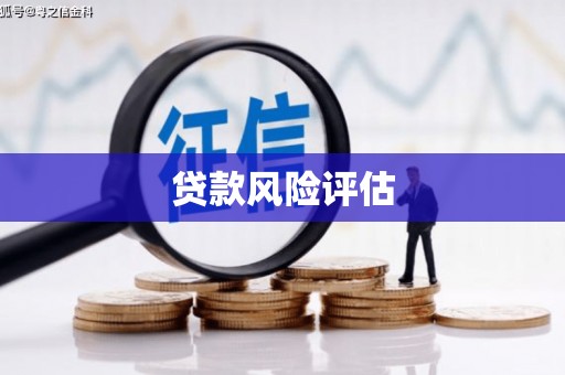 江永贷款风险评估