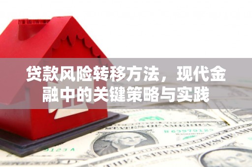 江永贷款风险转移方法，现代金融中的关键策略与实践