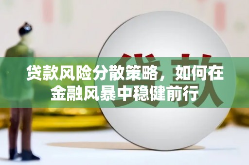 江永贷款风险分散策略，如何在金融风暴中稳健前行