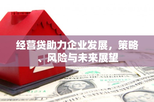 江永经营贷助力企业发展，策略、风险与未来展望