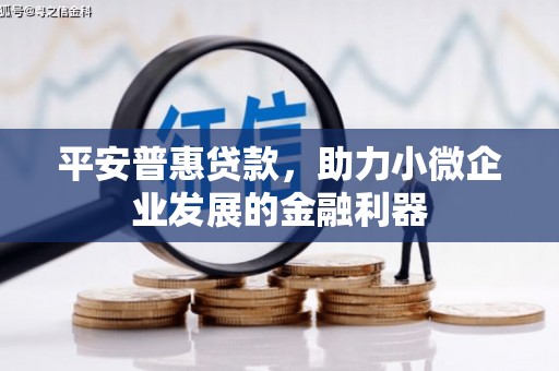 江永平安普惠贷款，助力小微企业发展的金融利器