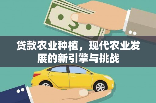 江永贷款农业种植，现代农业发展的新引擎与挑战