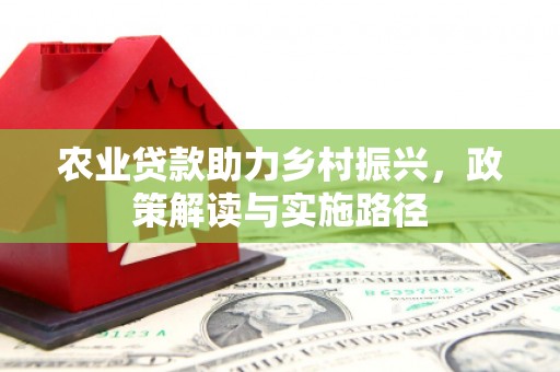 江永农业贷款助力乡村振兴，政策解读与实施路径