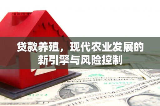 江永贷款养殖，现代农业发展的新引擎与风险控制