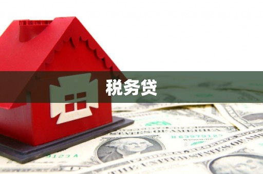 江永税务贷