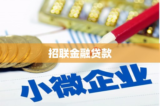 江永招联金融贷款