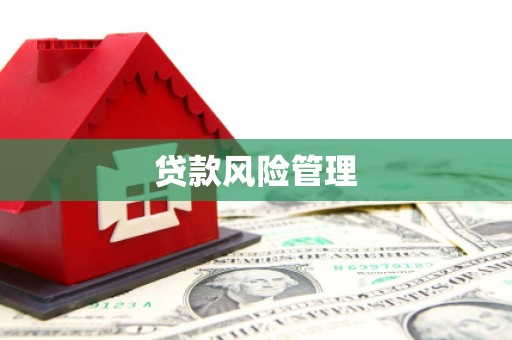 江永贷款风险管理