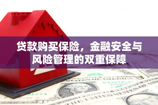 江永贷款购买保险，金融安全与风险管理的双重保障