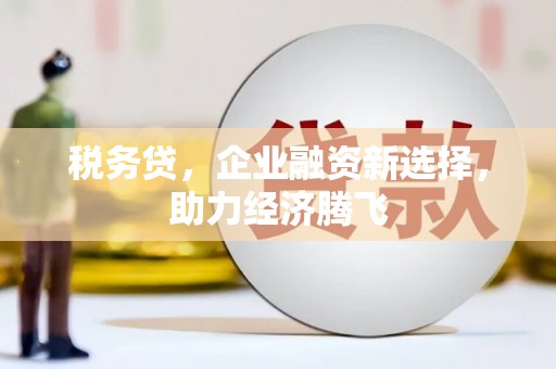 江永税务贷，企业融资新选择，助力经济腾飞