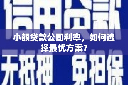江永小额贷款公司利率，如何选择最优方案？