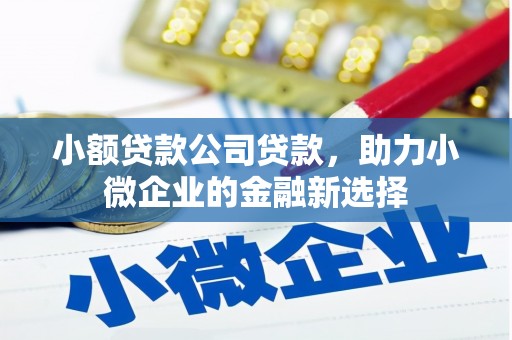 江永小额贷款公司贷款，助力小微企业的金融新选择