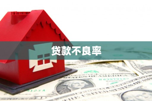 江永贷款不良率
