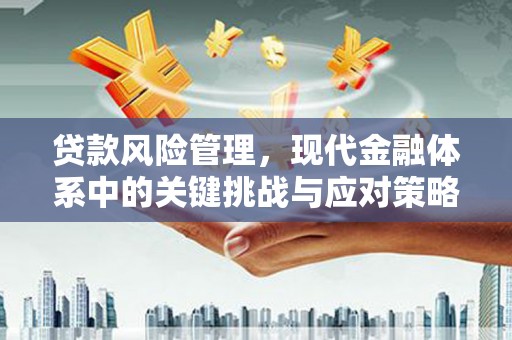 江永贷款风险管理，现代金融体系中的关键挑战与应对策略