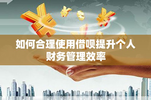 江永如何合理使用借呗提升个人财务管理效率
