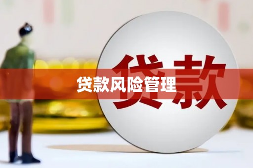 江永贷款风险管理