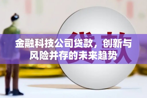 江永金融科技公司贷款，创新与风险并存的未来趋势