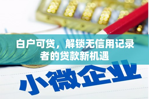 江永白户可贷，解锁无信用记录者的贷款新机遇