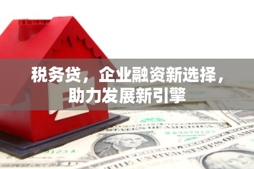 江永税务贷，企业融资新选择，助力发展新引擎