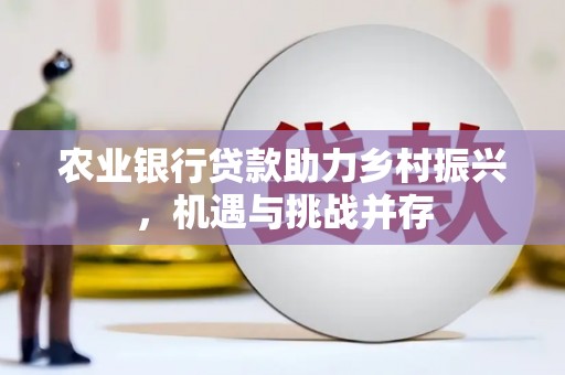 江永农业银行贷款助力乡村振兴，机遇与挑战并存