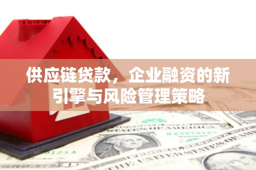 江永供应链贷款，企业融资的新引擎与风险管理策略
