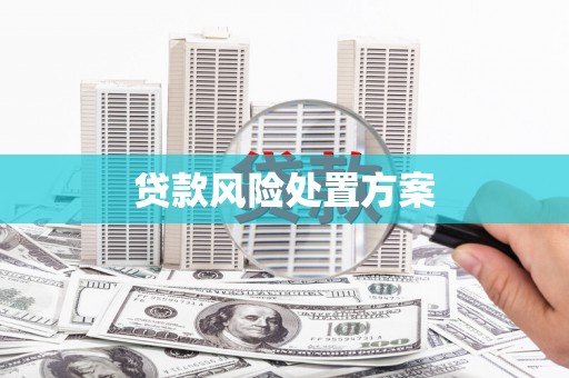 江永贷款风险处置方案