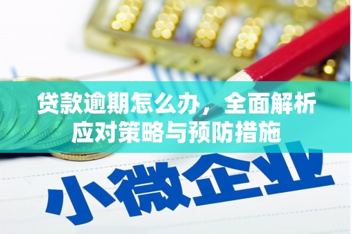 江永贷款逾期怎么办，全面解析应对策略与预防措施