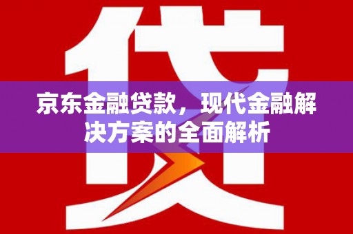 江永京东金融贷款，现代金融解决方案的全面解析